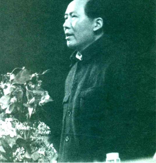 6月11日